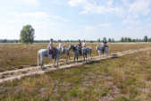 Reitergruppe in der Heide