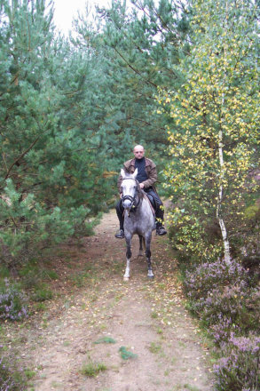 rider in the wood